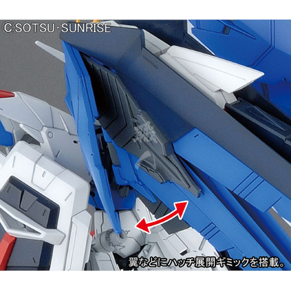 MG Freedom Gundam Ver. 2.0 1/100: detalle alas.