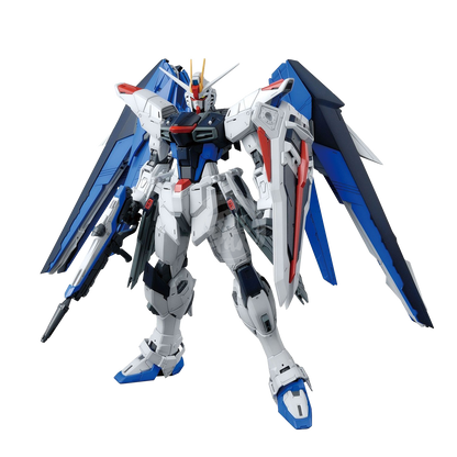 MG Freedom Gundam Ver. 2.0 1/100: frontal.