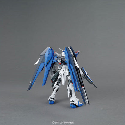 MG Freedom Gundam Ver. 2.0 1/100: trasera.