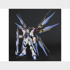 PG Strike Freedom Gundam, vista 2.