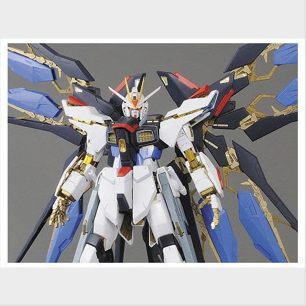 PG Strike Freedom Gundam, vista 4.